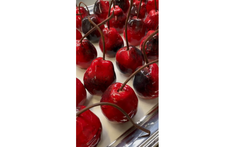 uploads/brand/events-gallery-800x500/untitled-designzip-4-67d1783aacd82.png